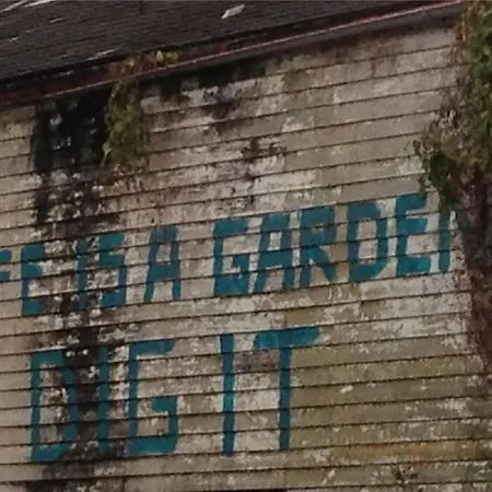The Dragonfly Treme-Close To French Quarter-Heated Salt Pool-2
