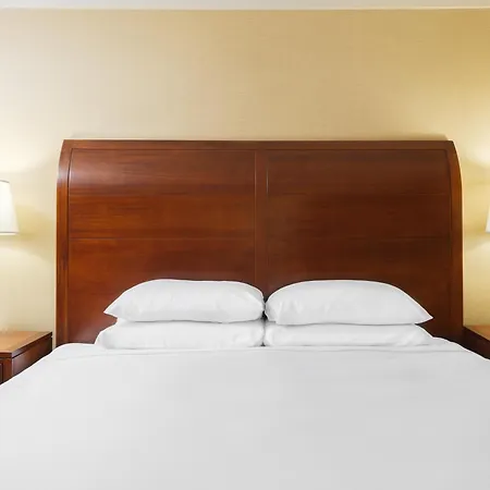 Doubletree By Hilton Stamford-3