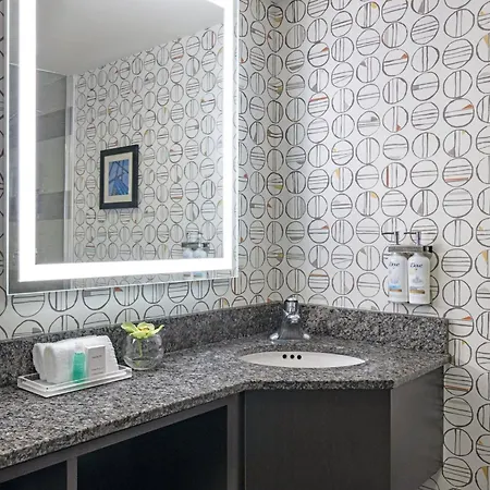Holiday Inn Toronto Downtown Centre By Ihg-3