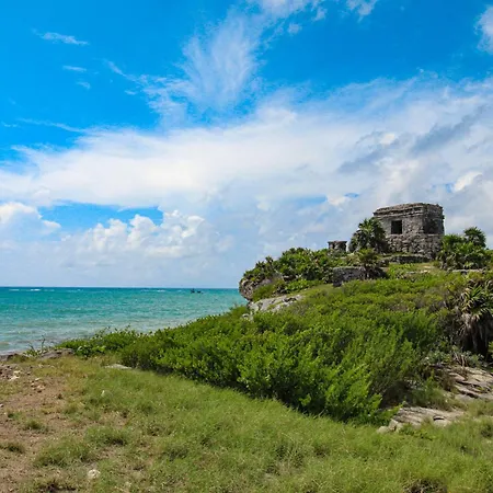 Menesse Tulum #327, Downtown-3