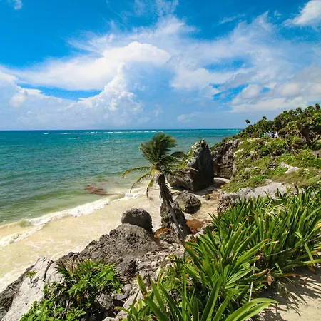 Menesse Tulum #327, Downtown-2
