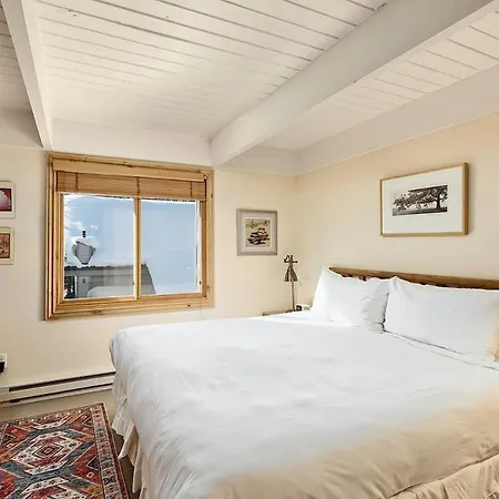 Chateau Blanc Unit 13, Blocks To Downtown Aspen-3