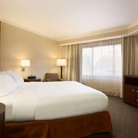 Embassy Suites By Hilton Austin Downtown South Congress-3