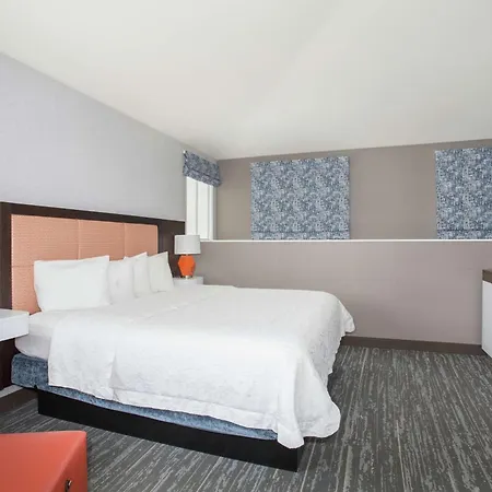 Hampton Inn & Suites Denver-Downtown-3