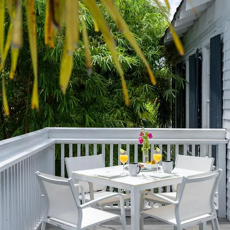 Alexander'S Guesthouse-Adult Exclusive-3