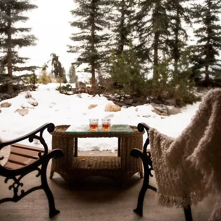A Bear And Bison Country Inn-2