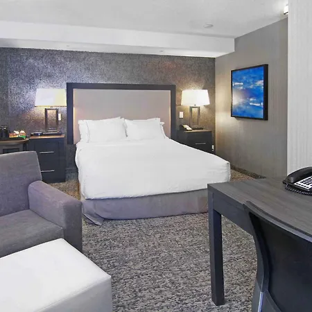 Holiday Inn Express And Suites Calgary By Ihg-3