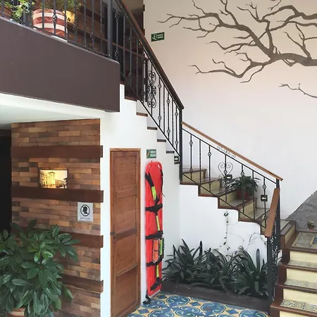 The Cranky Croc Hostel-2