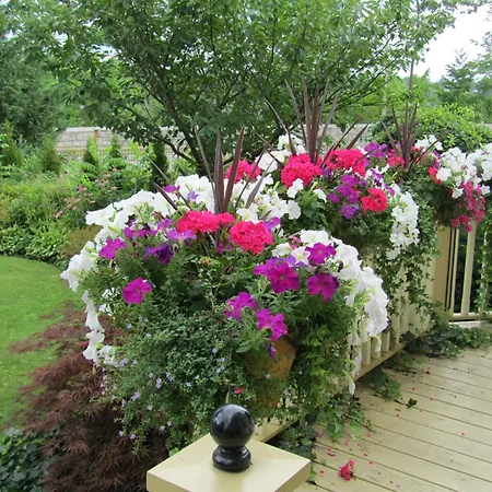 Bedham Hall B&B-2