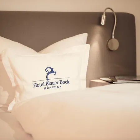 Hotel Blauer Bock-3
