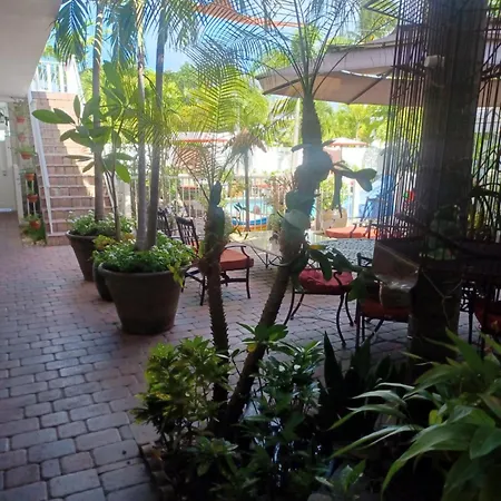 The Big Coconut Guesthouse - Gay Men'S Resort-2