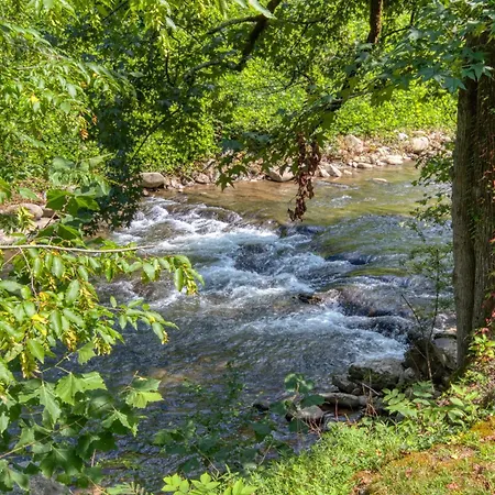 River Dream #466-3
