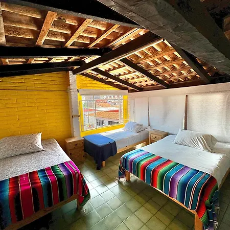 Casa Frida Gaylodging-2