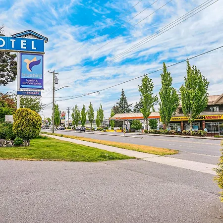 Bluebird Motel-2
