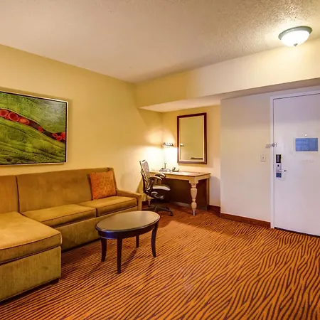 Hilton Garden Inn Tampa Ybor Historic District-3