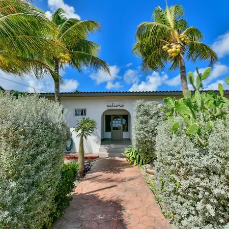 Aloe B&B-2
