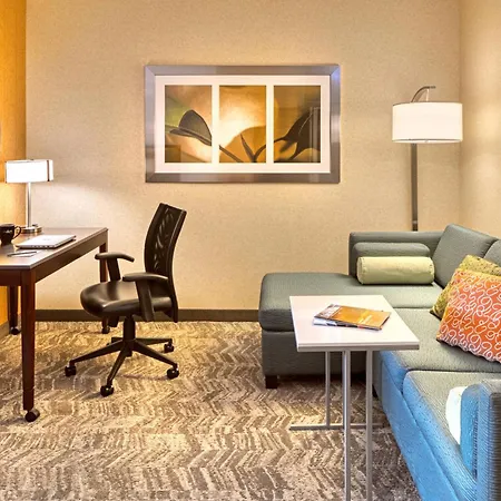 Springhill Suites By Marriott Salt Lake City Downtown-3