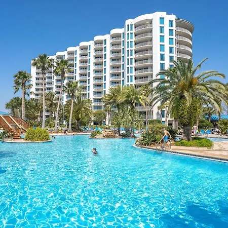 The Salty Palm-2