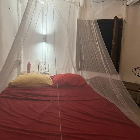Tree House Tulum-3