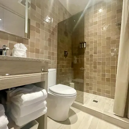 Palace Modern Hotel At The Plaza - King 11-2