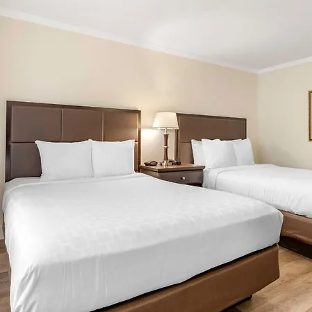 Best Western Carmel'S Town House Lodge-3