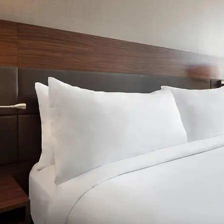 Ac Hotel By Marriott Pittsburgh Downtown-2