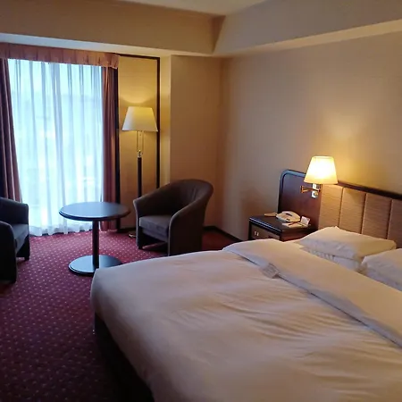 Ana Crowne Plaza Hotel Kyoto By Ihg-2