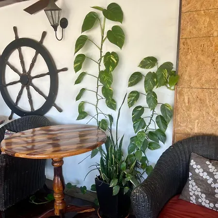 Cabo Tortuga Hotel Boutique-2