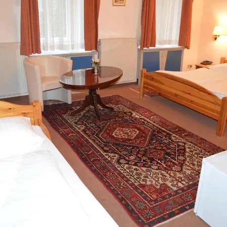 Hotel Pension Walzerstadt-3