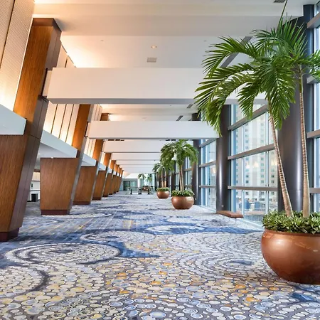 Hilton Americas - Houston-2