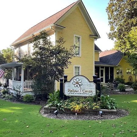 Yellow Daisy Bed And Breakfast-2