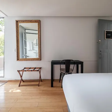 Senda Stays Condesa-3