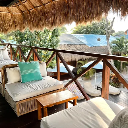 Mimosa Tulum-3