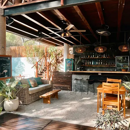 Mimosa Tulum-2