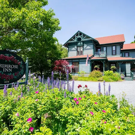 The Primrose-3