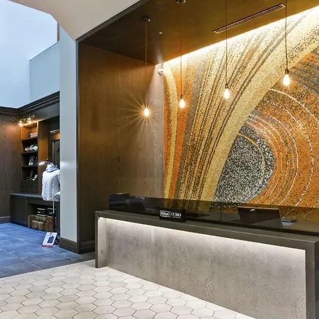 The Cincinnatian Curio Collection By Hilton-2