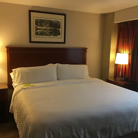 Four Points By Sheraton Bellingham Hotel & Conference Center-3