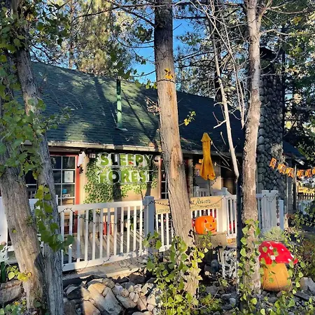 Sleepy Forest Cottages-3
