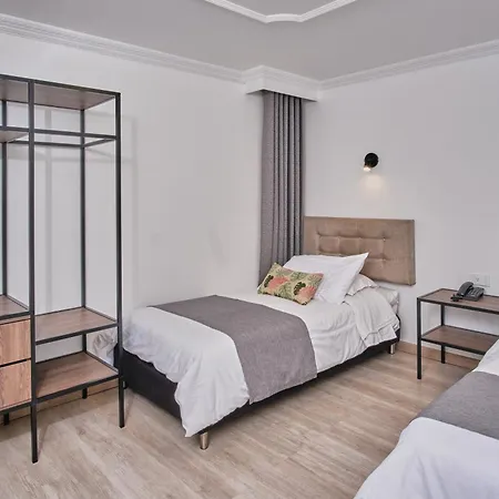 Hotel Virrey Central-2