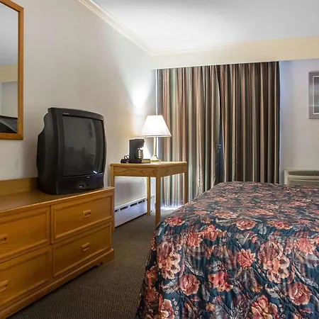 Econo Lodge By The Falls-2