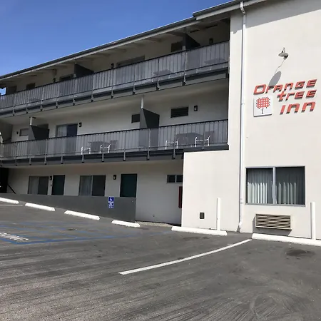 Orange Tree Inn-3