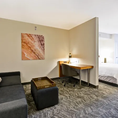 Springhill Suites By Marriott Lexington Near The University Of Kentucky-2