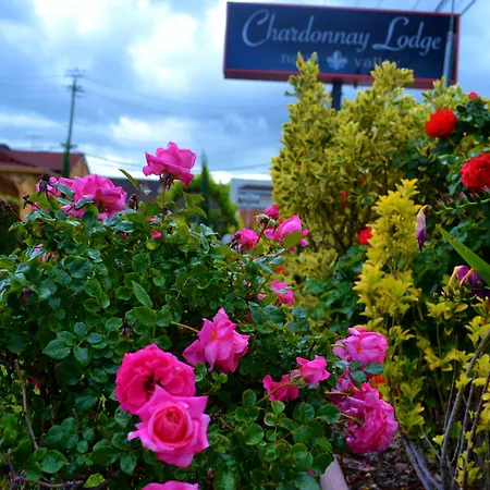 Chardonnay Lodge-2