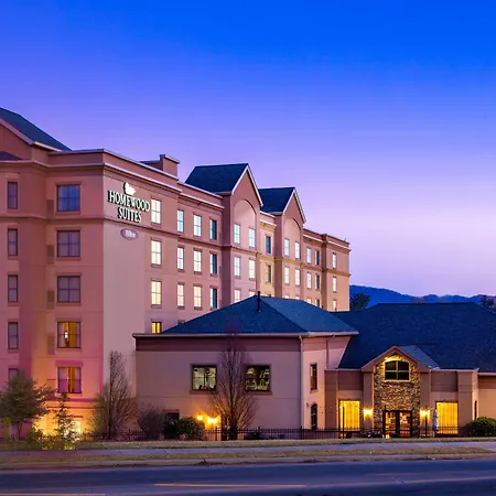 Homewood Suites By Hilton Asheville-2