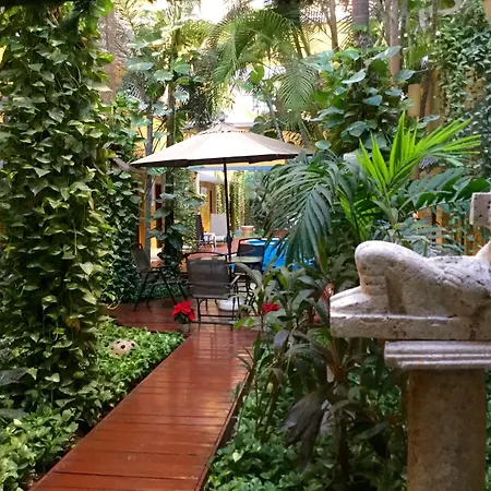 Hotel Las Golondrinas-3