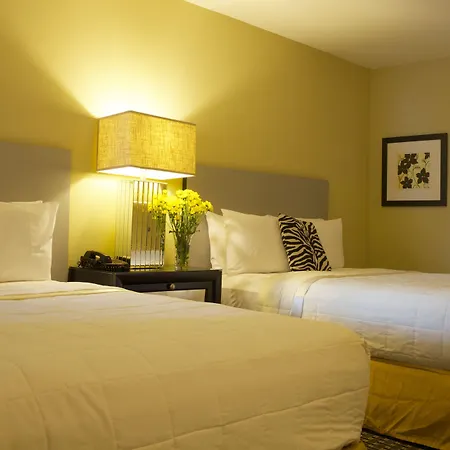 Sole Inn And Suites-2