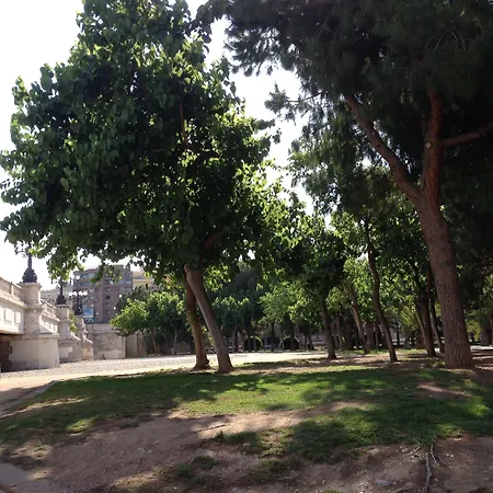 Md Modern Hotel - Jardines-2