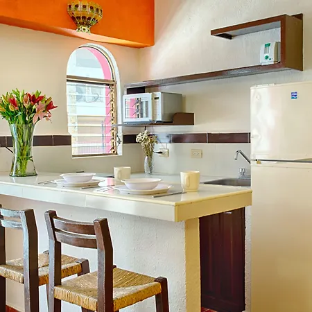 Suites Plaza Del Rio - Family Hotel Malecon Centro-2