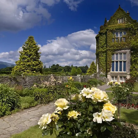 Ardree House B&B-3