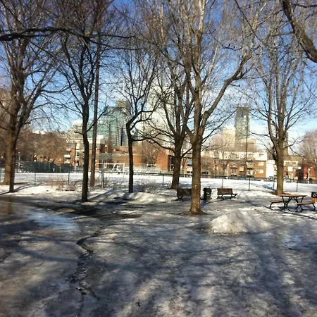 Repos & Manna Downtown Montreal-2